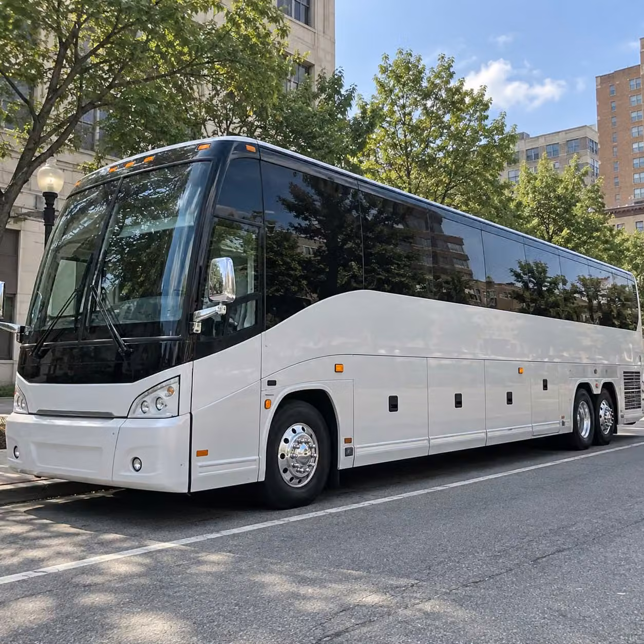 compare charter bus options for clifton nature and outdoor field trips